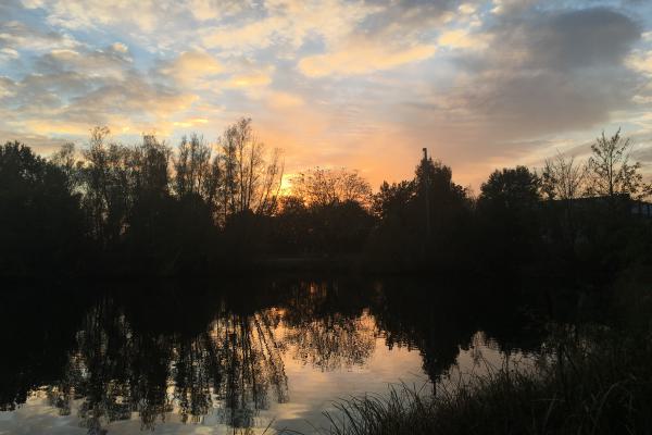 Nachtangeln am Görsee