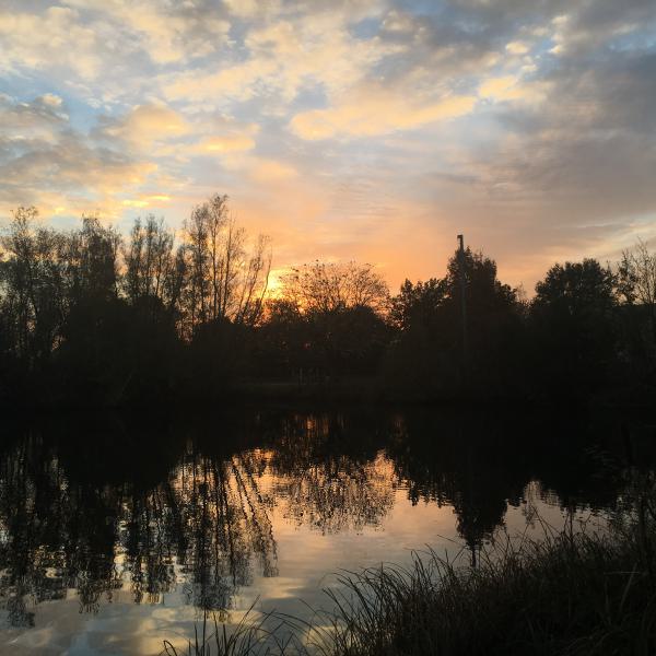 Nachtangeln am Görsee